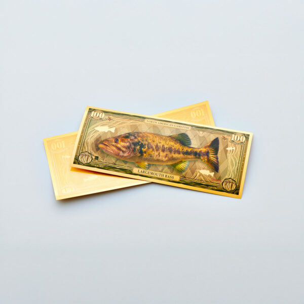Oronote Largemouth Bass - immagine 2