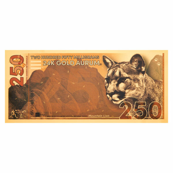 Oronote Mountain Lion