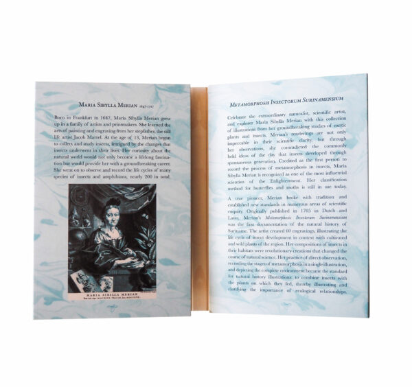 Oronote oro puro 999.9 ‰ Stampa Botanica in oro dedicata a Maria Sibylla Merian - immagine 2