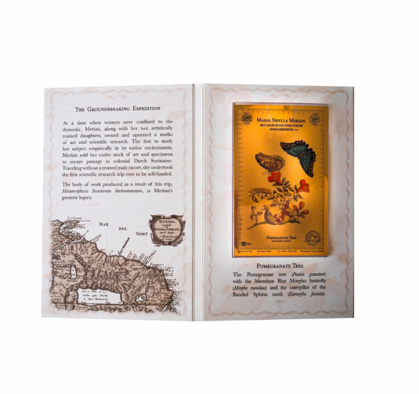 Oronote oro puro 999.9 ‰ Stampa Botanica in oro dedicata a Maria Sibylla Merian - immagine 3