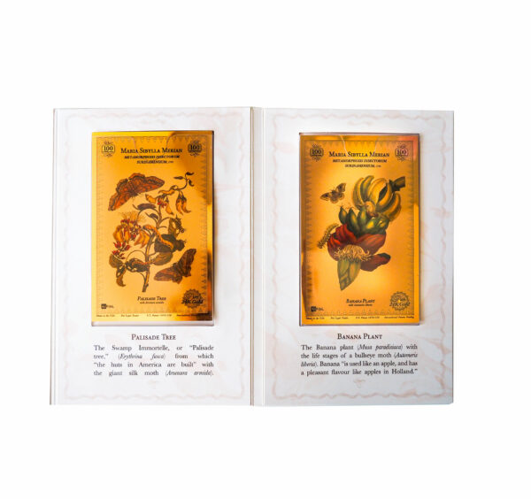 Oronote oro puro 999.9 ‰ Stampa Botanica in oro dedicata a Maria Sibylla Merian - immagine 4