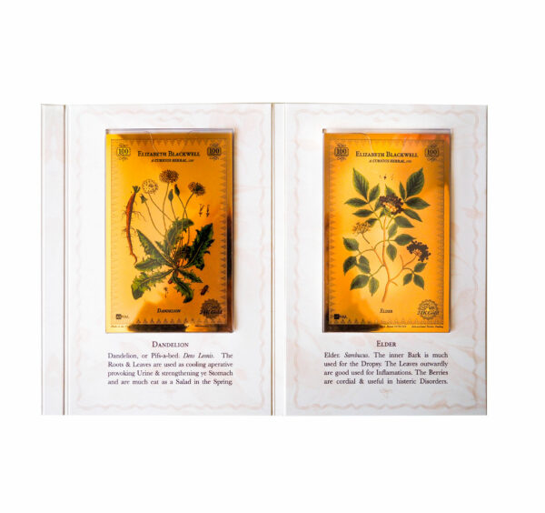 Oronote oro puro 999.9 ‰ Stampa Botanica in oro dedicata a Elizabeth Blackwell - immagine 4