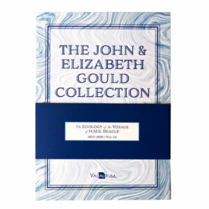 Oronote oro puro 999.9 ‰ The John & Elisabeth Gould Collection The Zoology of the Voyage of H.M.S. Beagle Vol.01