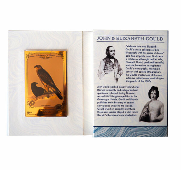 Oronote oro puro 999.9 ‰ The John & Elisabeth Gould Collection The Zoology of the Voyage of H.M.S. Beagle Vol.01 - immagine 4