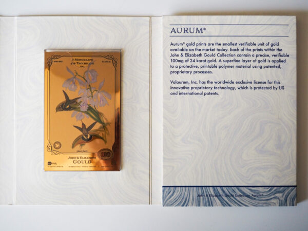 Oronote oro puro 999.9 ‰ The John & Elisabeth Gould Collection A Monograph of the Trochilidae Vol.01 - immagine 4