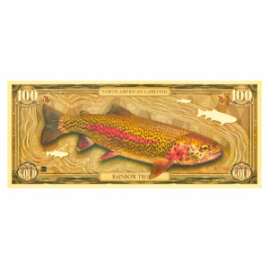 Oronote Rainbow Trout