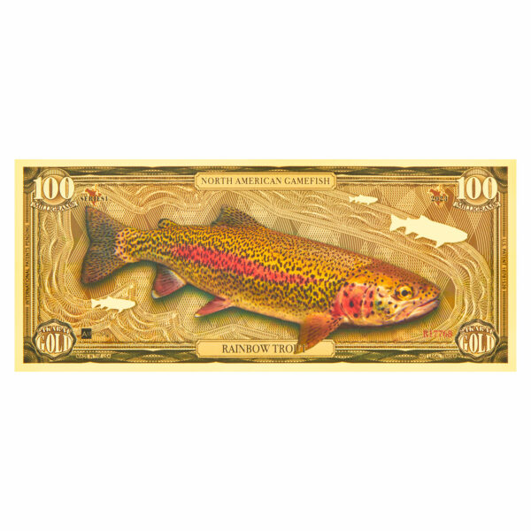 Oronote Rainbow Trout
