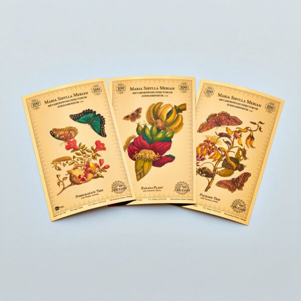 Oronote oro puro 999.9 ‰ Stampa Botanica in oro dedicata a Maria Sibylla Merian - immagine 6