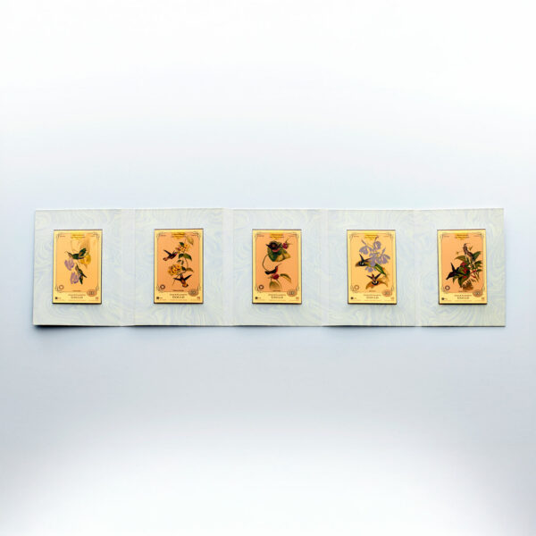 Oronote oro puro 999.9 ‰ The John & Elisabeth Gould Collection A Monograph of the Trochilidae Vol.01 - immagine 6